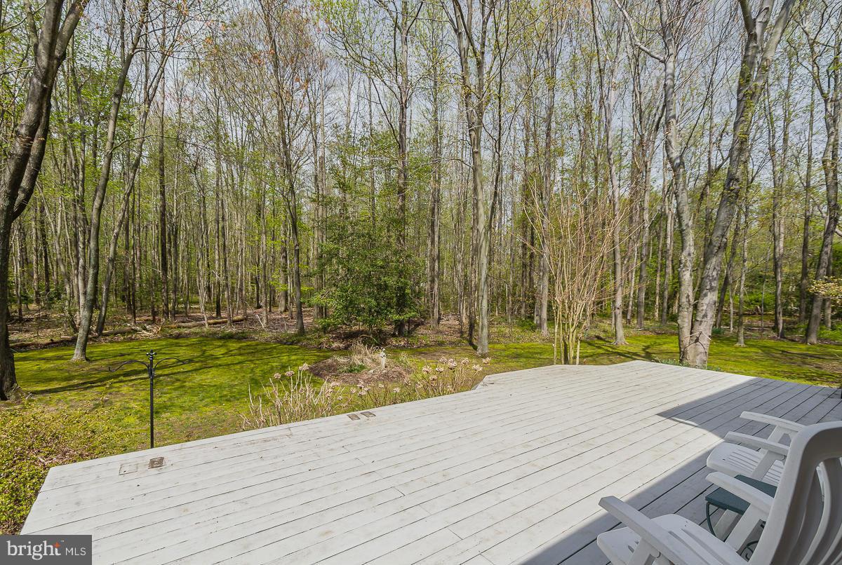 8190 Orchard Point Road Pasadena, MD 21122 - Photo 26 of 29 Deck overlooks rear yard and acreage
