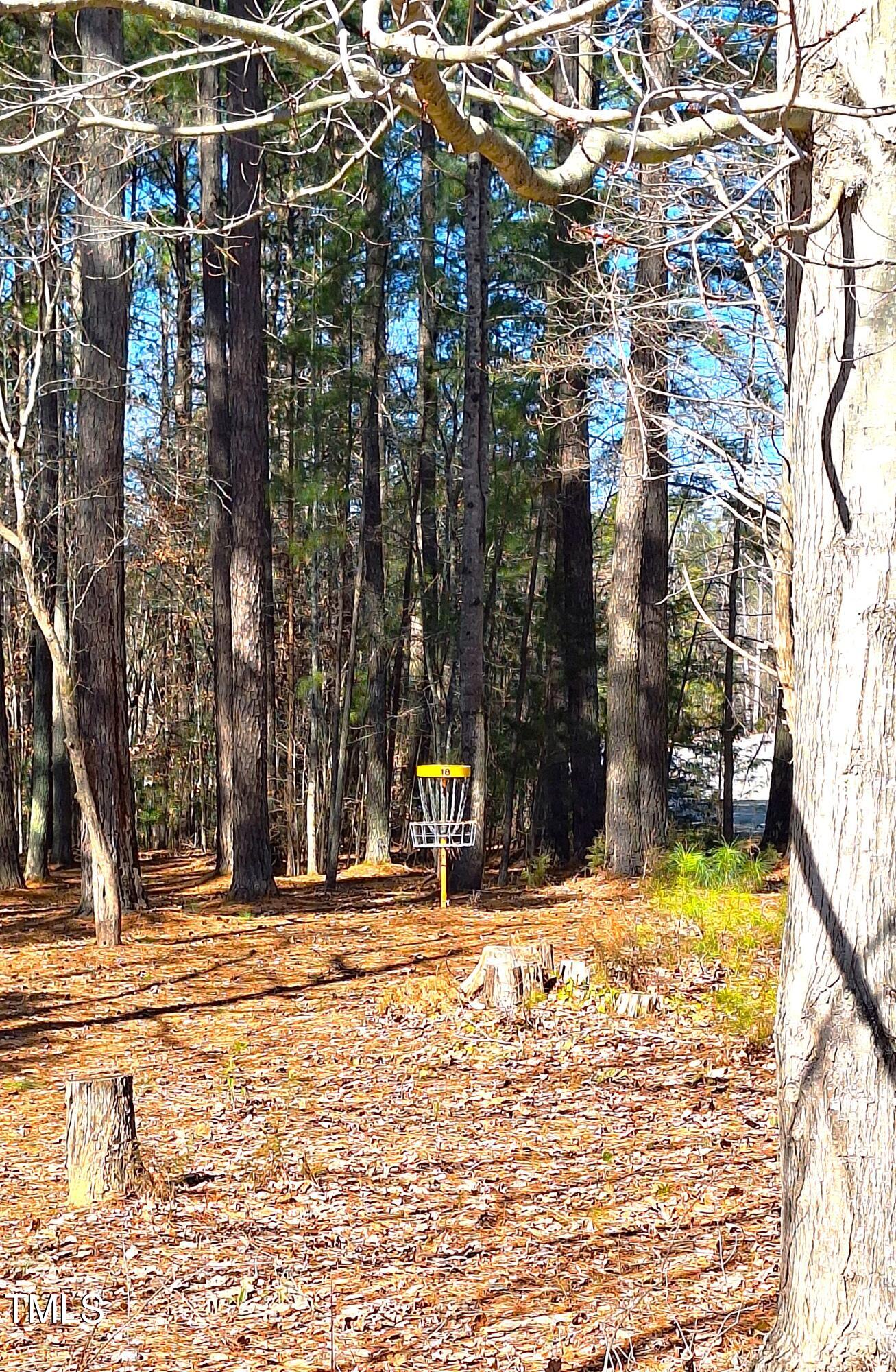 1171 Buck Street Road Roxboro, NC 27574 - Photo 58 of 63 Mayo Lake Park - Disc Golf