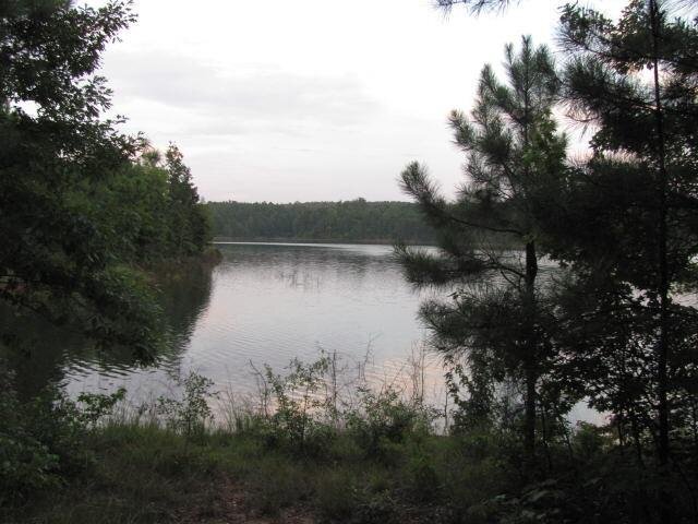 a view of lake with green space