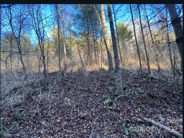 a view of backyard with green space