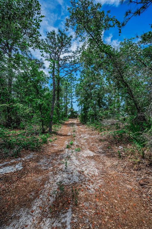 12123 Fulmar Road Weeki Wachee, FL 34614 - Photo 71 of 81