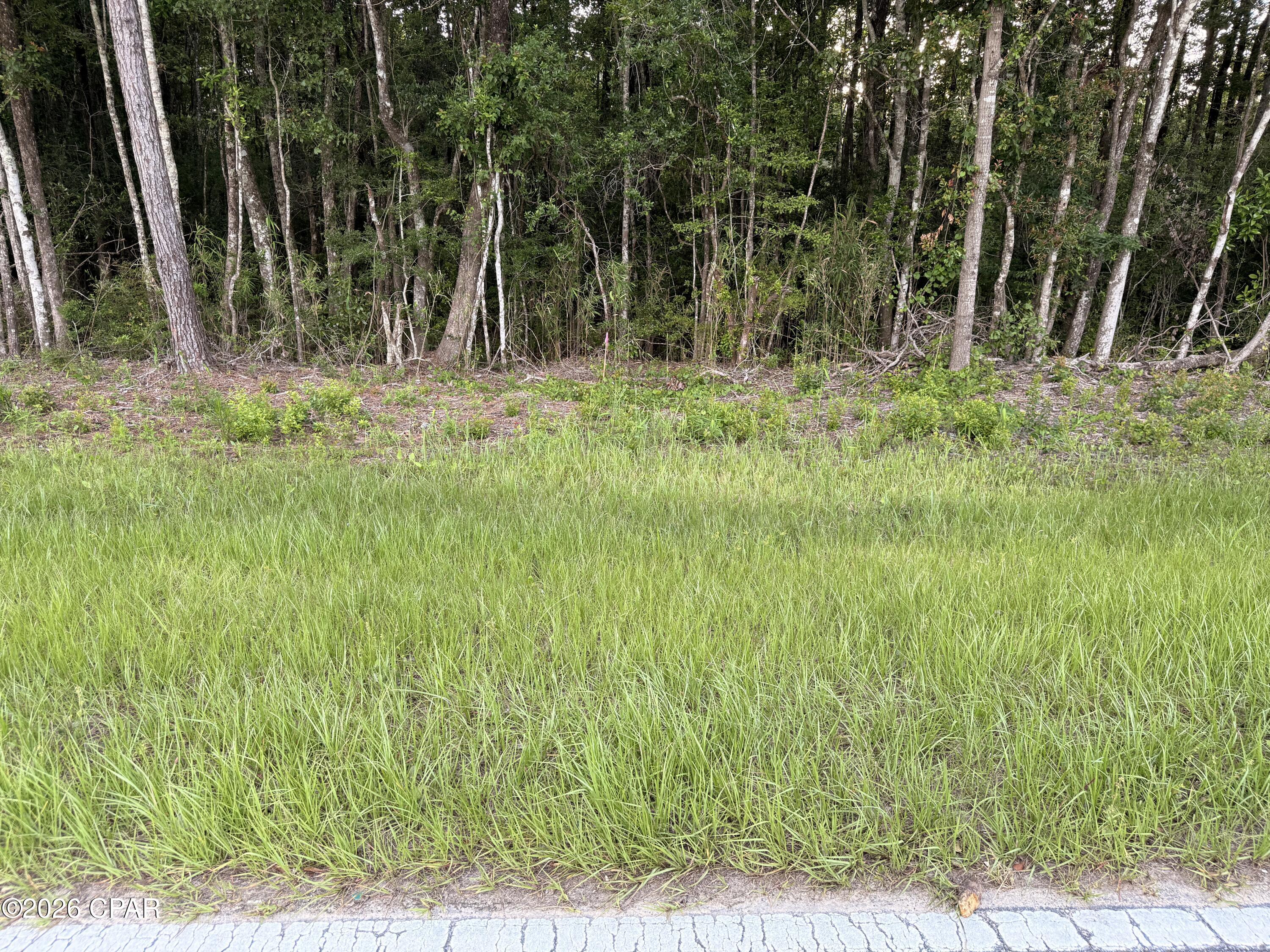 0 Shell Landing Road Vernon, FL 32462 - Photo 3 of 4