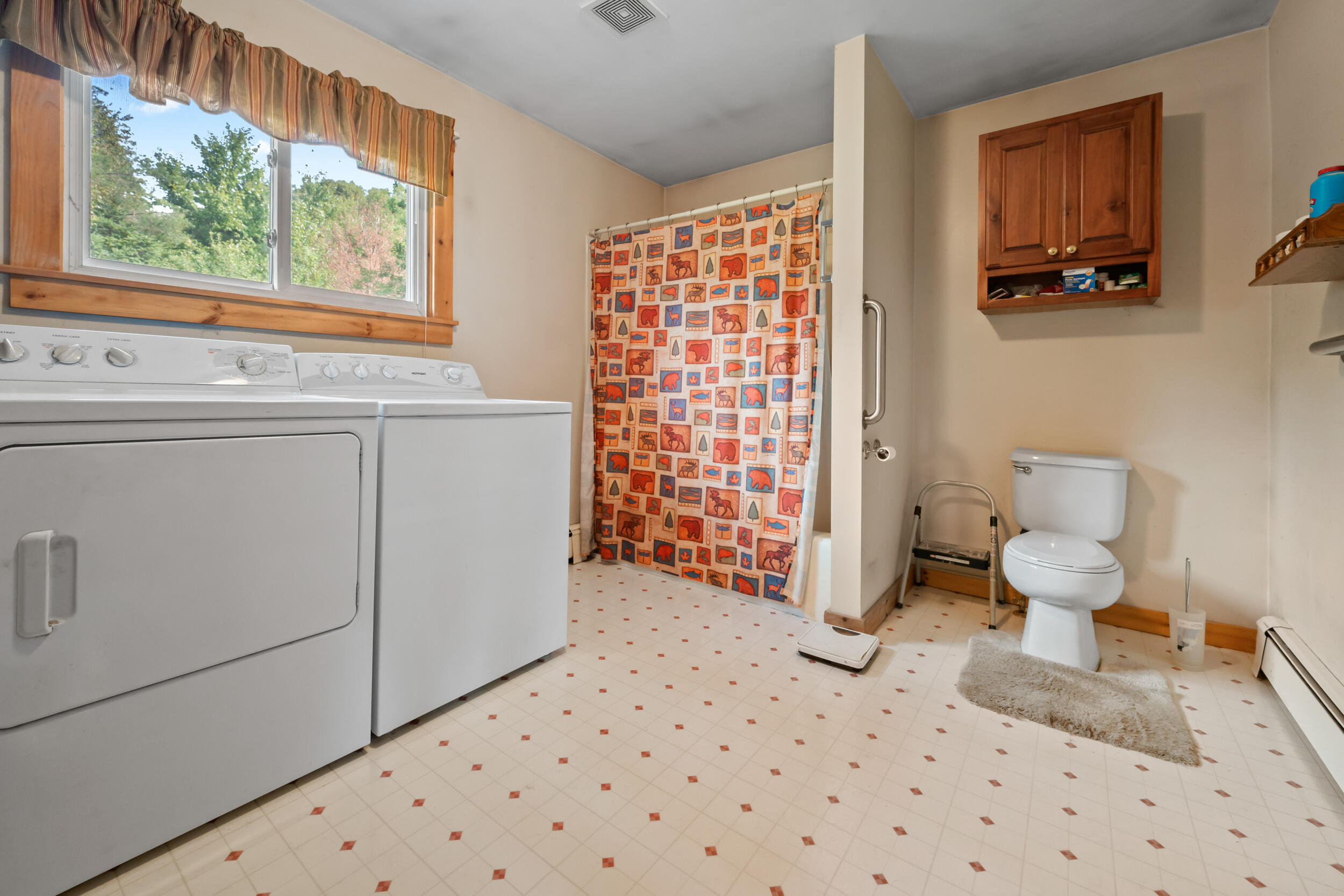 397 Pond Brook Road Andover, ME 04216 - Photo 19 of 36 DSC_4792