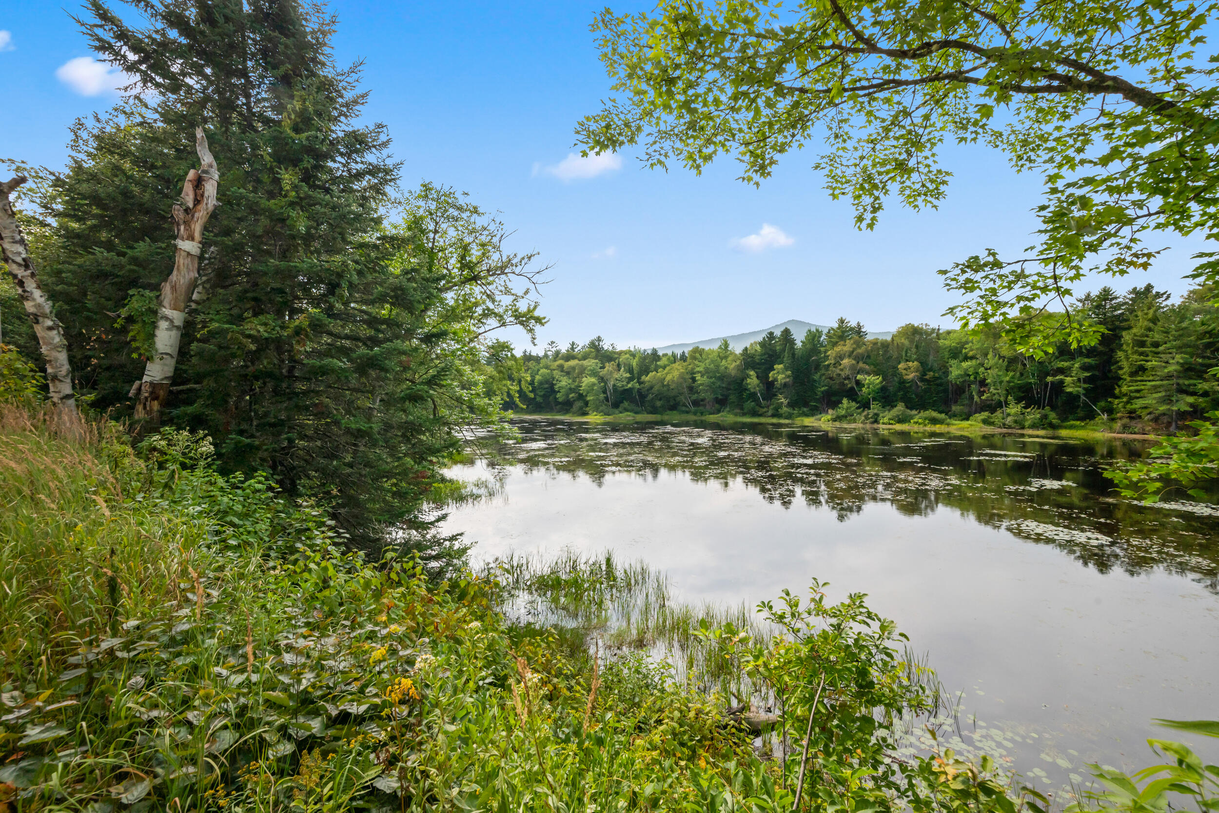 397 Pond Brook Road Andover, ME 04216 - Photo 36 of 36 Sturtevant Pond Outlet