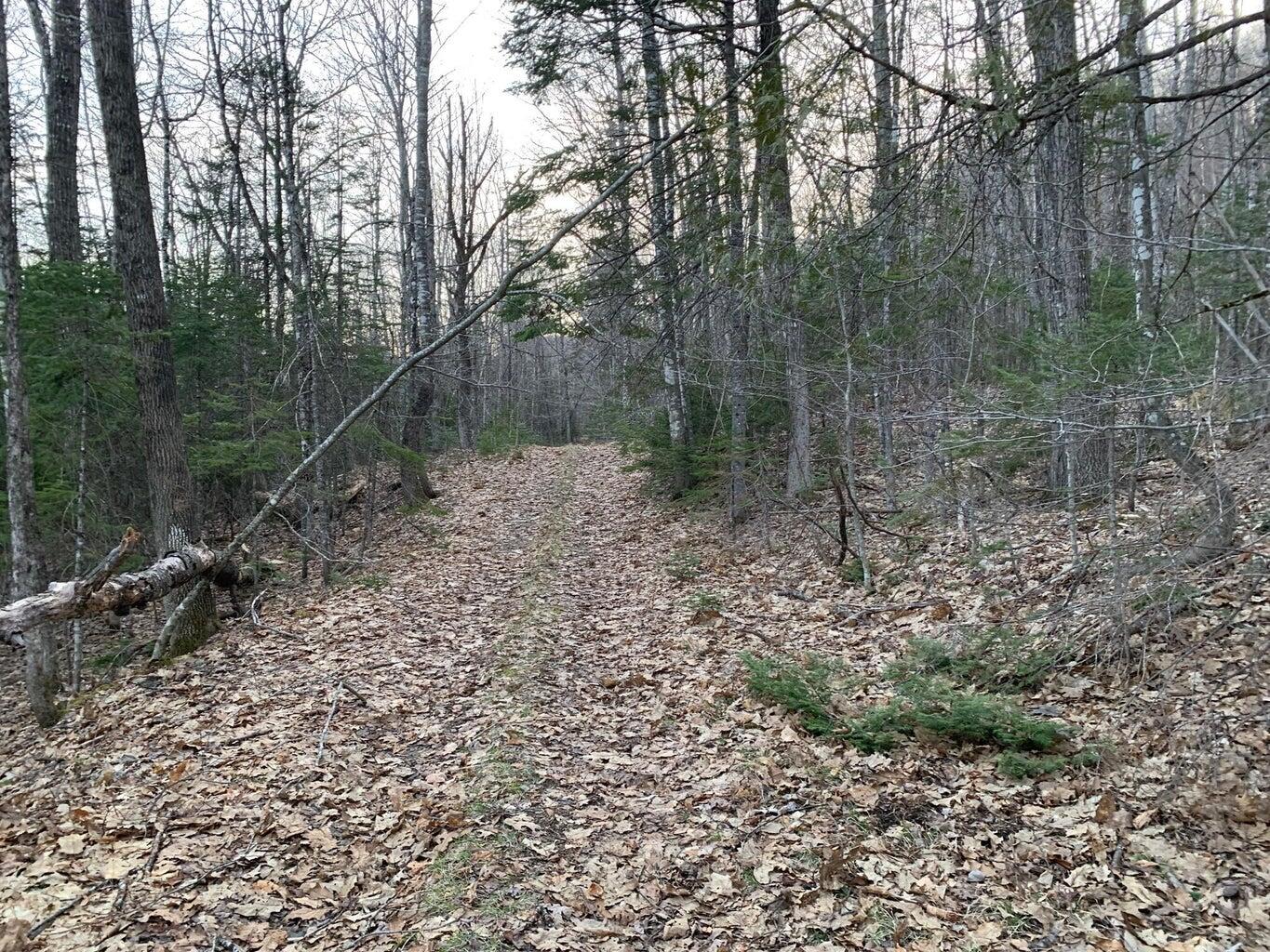 M29-l44.4 Reed's Mill Road Madrid Township, ME 04966 - Photo 1 of 3 ROW into the lot