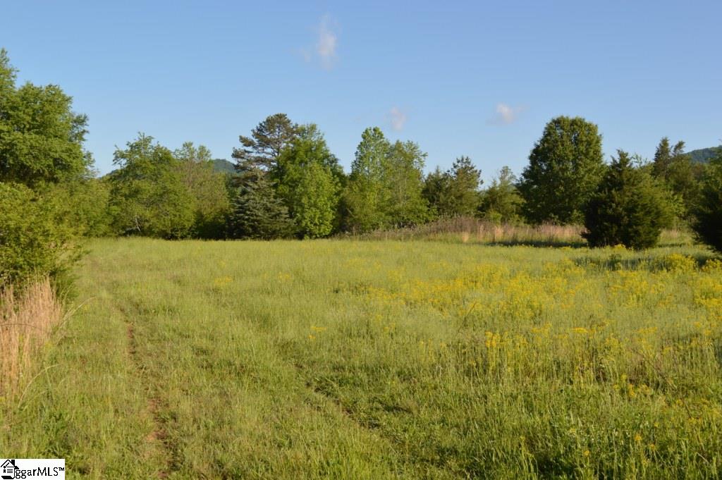 House Lane Pickens, SC 29671 - Photo 3 of 14 Gallery Image 3