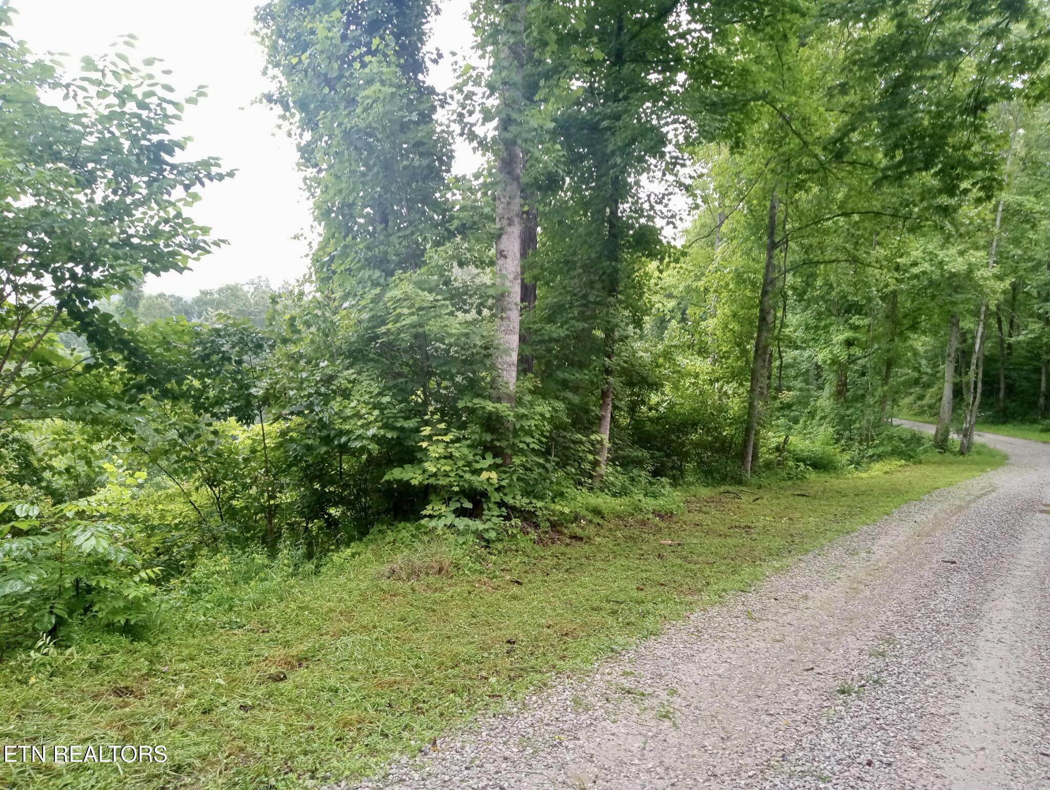 Roe Lane Winfield, TN 37892 - Photo 4 of 9 IMG_20260627_131101102