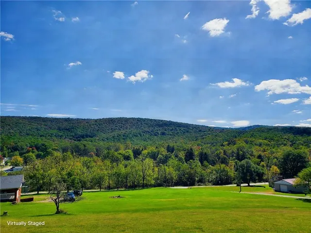 a view of a big yard with a large tree