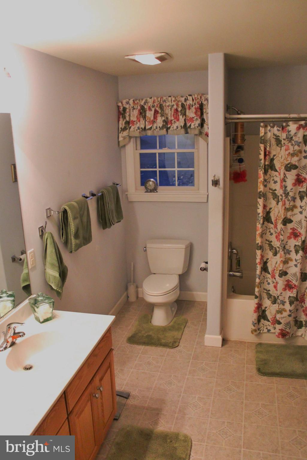 32552 Mt Pleasant Road Laurel, DE 19956 - Photo 9 of 18 Gallery Image 9