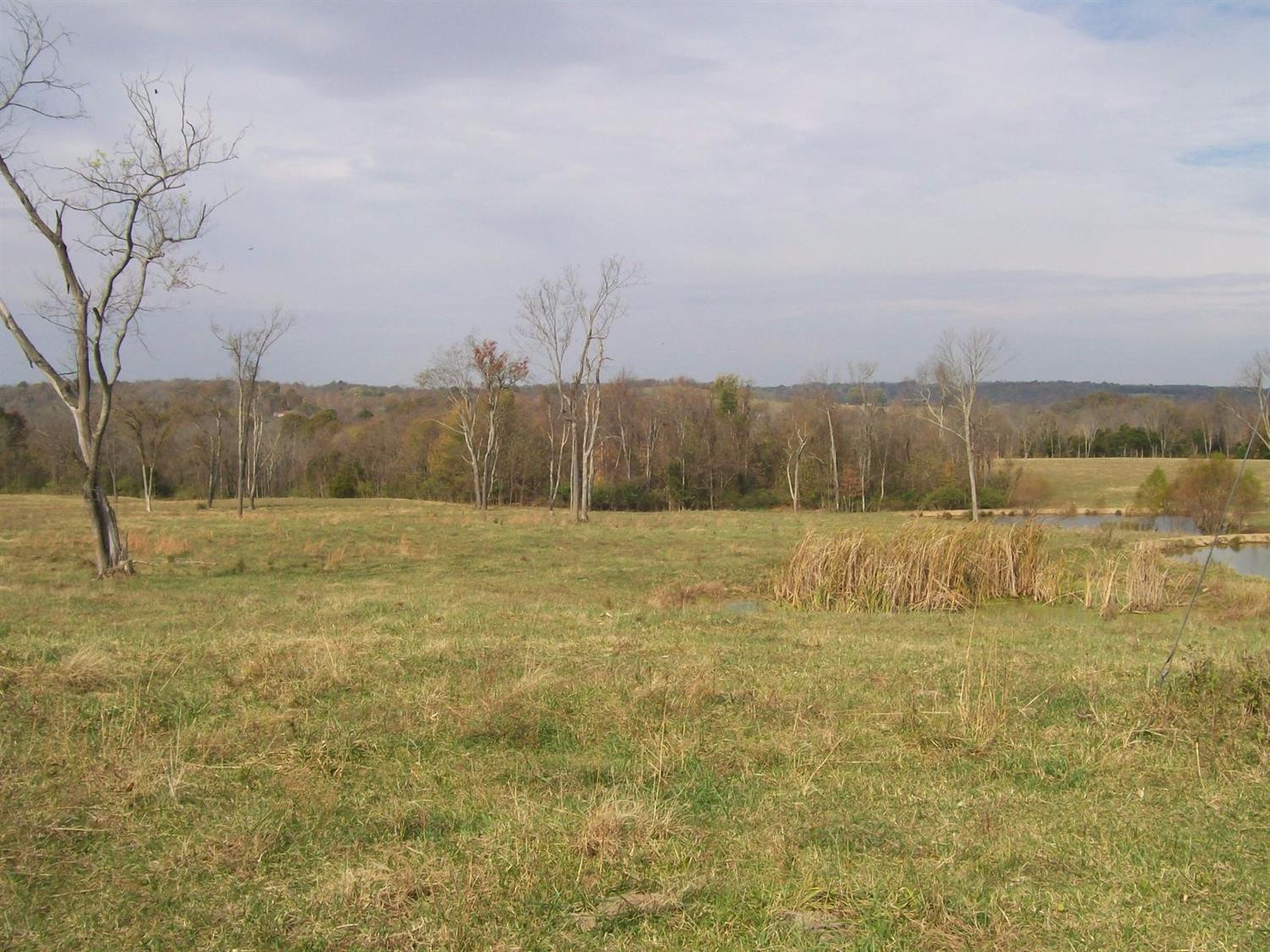 0 High Bridge Road Wilmore, KY 40390 - Photo 18 of 31 Photo 18