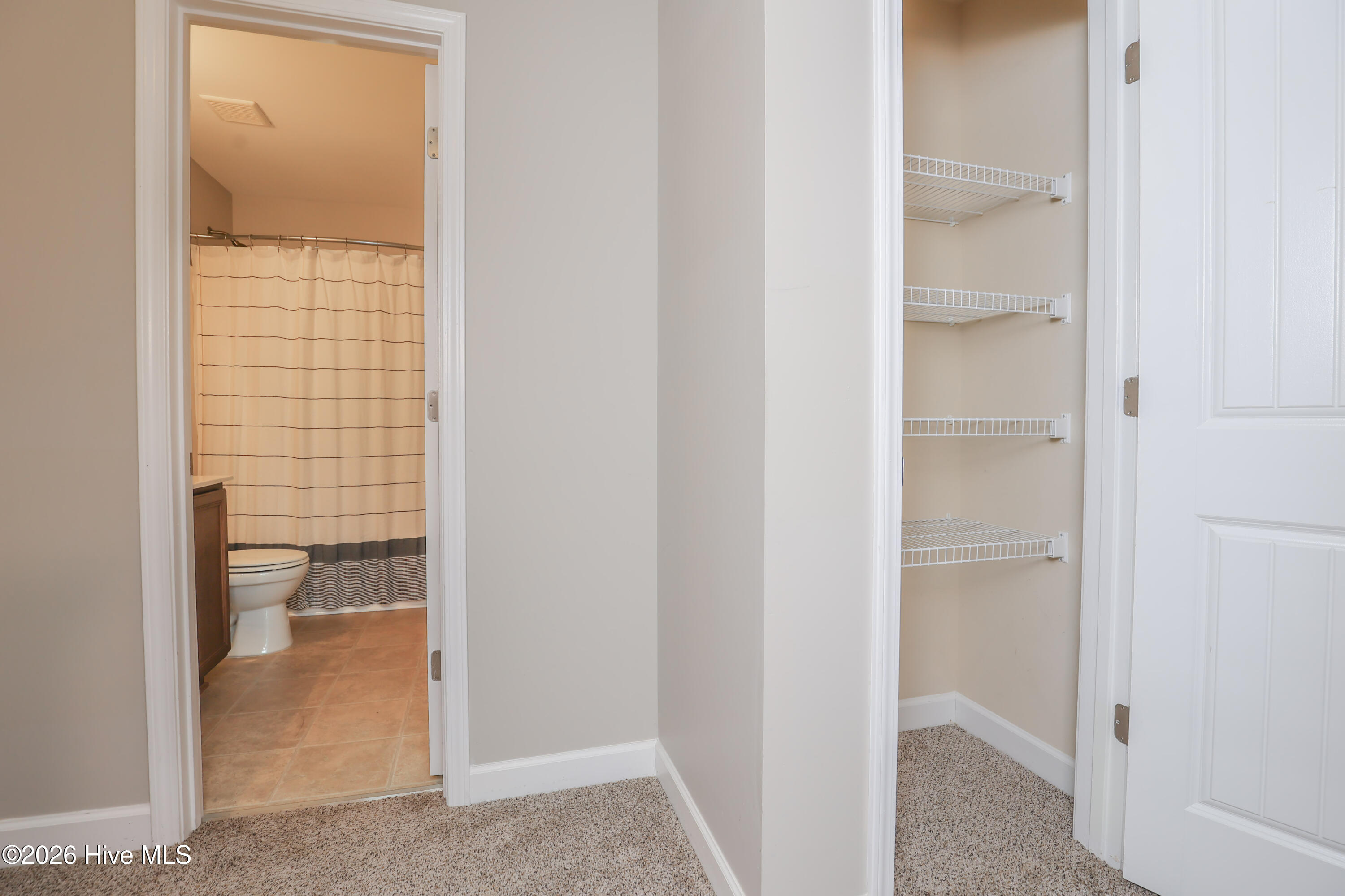 106 Blueberry Fields Road Maple Hill, NC 28454 - Photo 26 of 40 229A1692