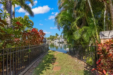 a view of a park with a tree