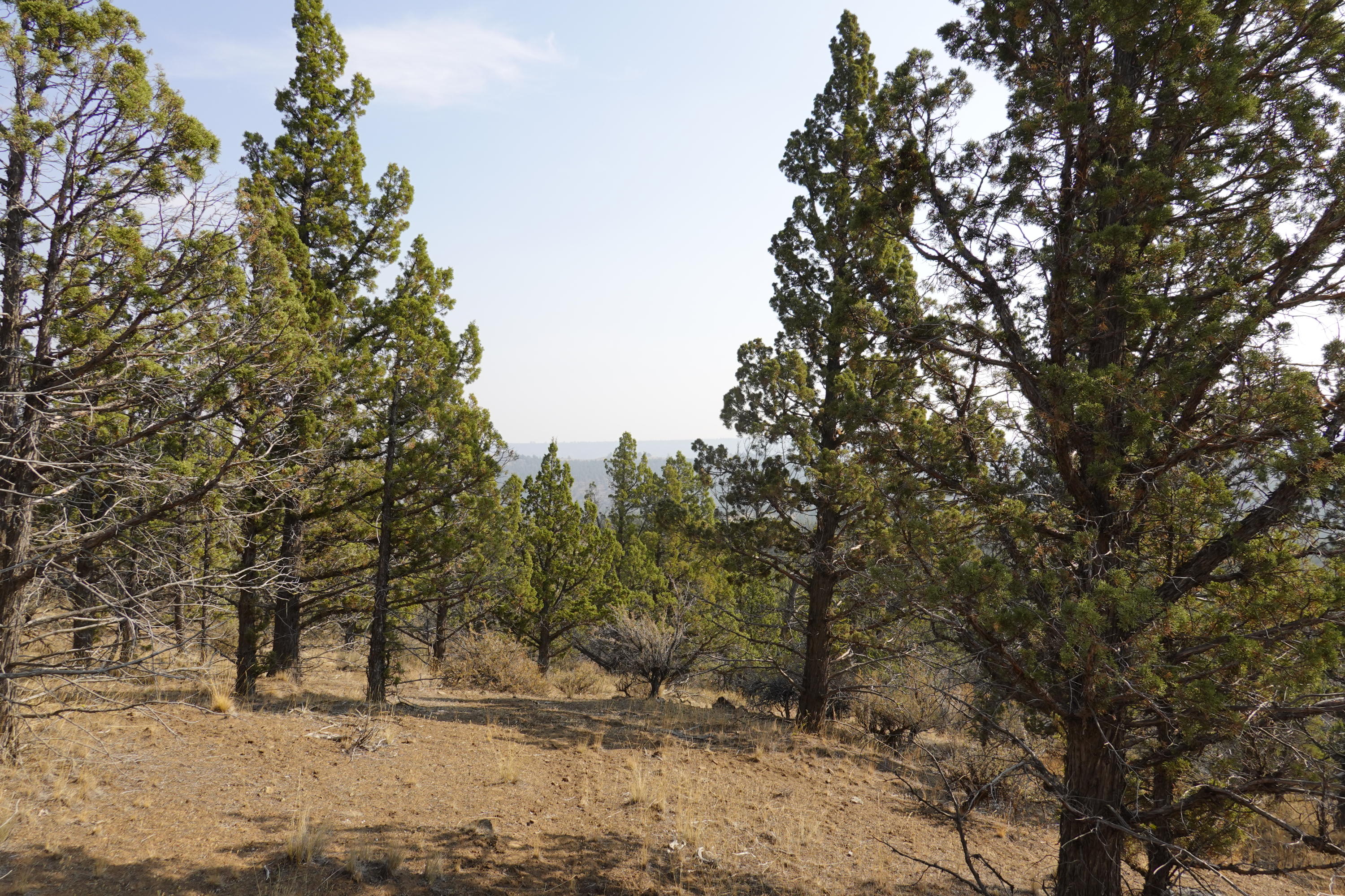 0 Southeast Dead End Road Prineville, OR 97754 - Photo 7 of 32 DSC00082