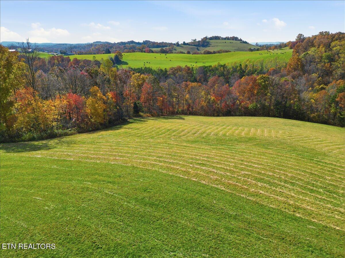 Tbd Oak Grove Church Road Harrogate, TN 37752 - Photo 20 of 22 Copy of 18-DJI_0577