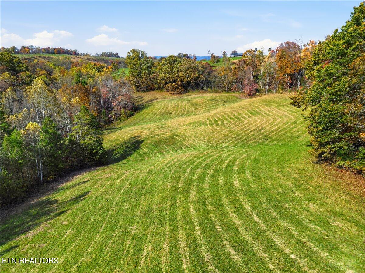 Tbd Oak Grove Church Road Harrogate, TN 37752 - Photo 3 of 22 Copy of 01-DJI_0567