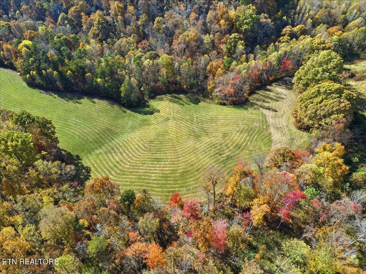 Tbd Oak Grove Church Road Harrogate, TN 37752 - Photo 5 of 22 Copy of 04-DJI_0552