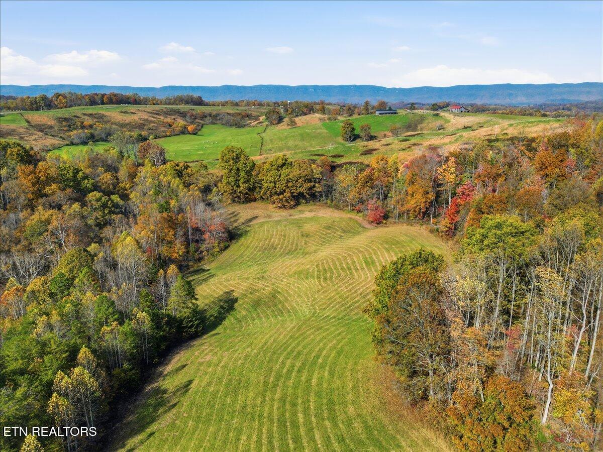 Tbd Oak Grove Church Road Harrogate, TN 37752 - Photo 7 of 22 Copy of 05-DJI_0492