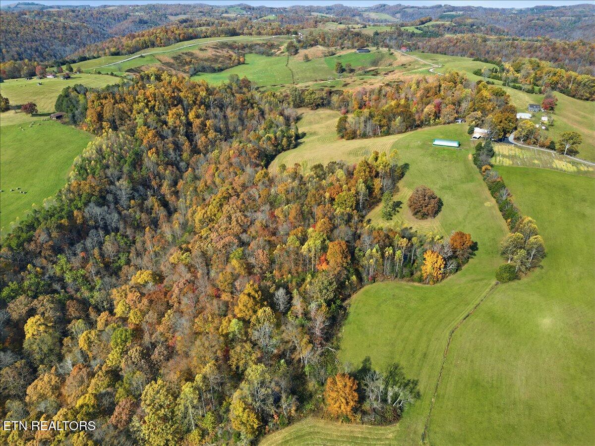 Tbd Oak Grove Church Road Harrogate, TN 37752 - Photo 8 of 22 Copy of 06-DJI_0542