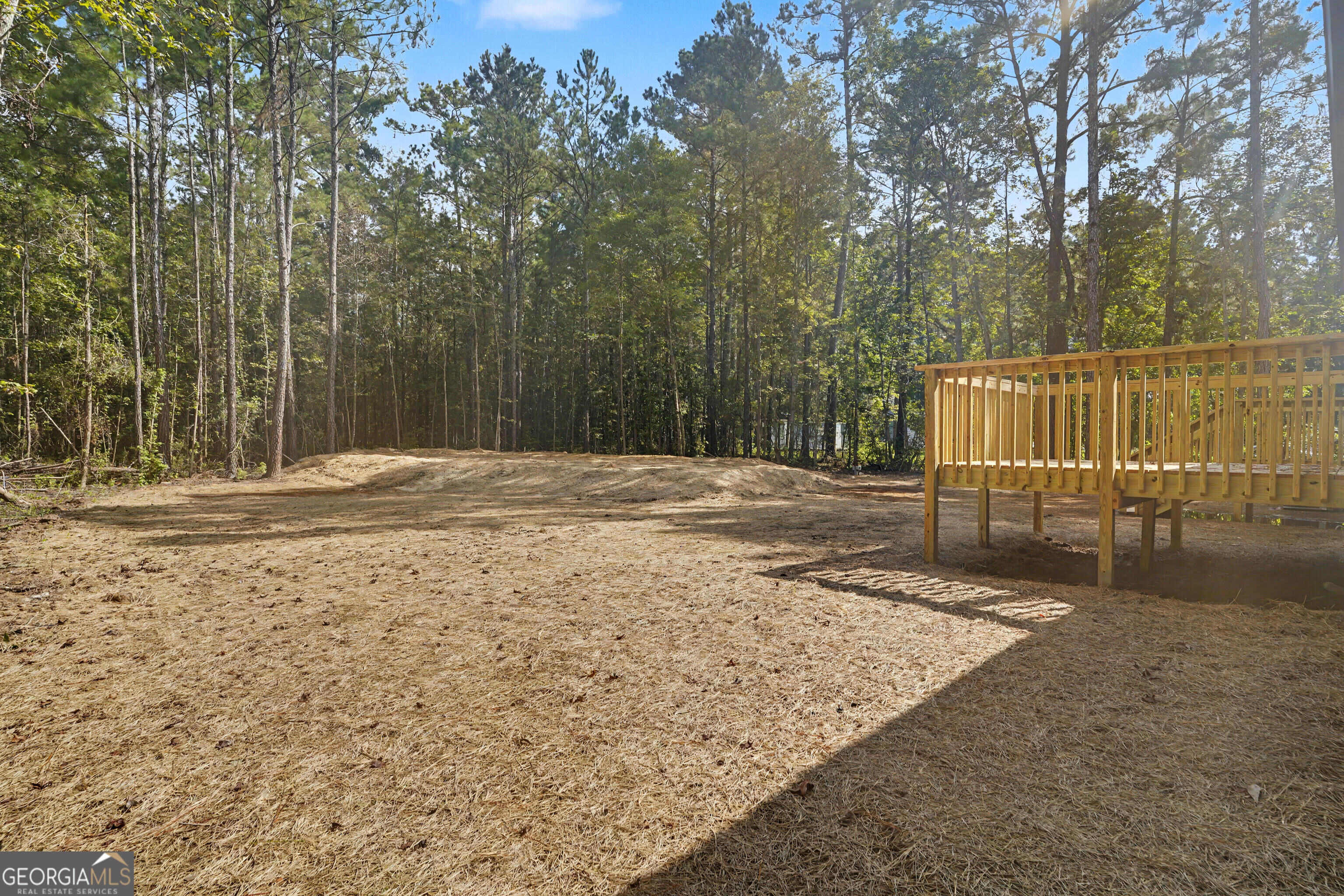 1110 Lecount Road Townsend, GA 31331 - Photo 41 of 50 Gallery Image 41
