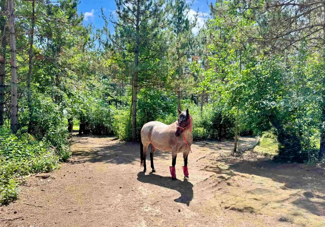 $949,900 | W4233 Porterfield Lake Road, Porterfield, WI 54159