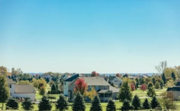 a view of a house with a yard and large tree
