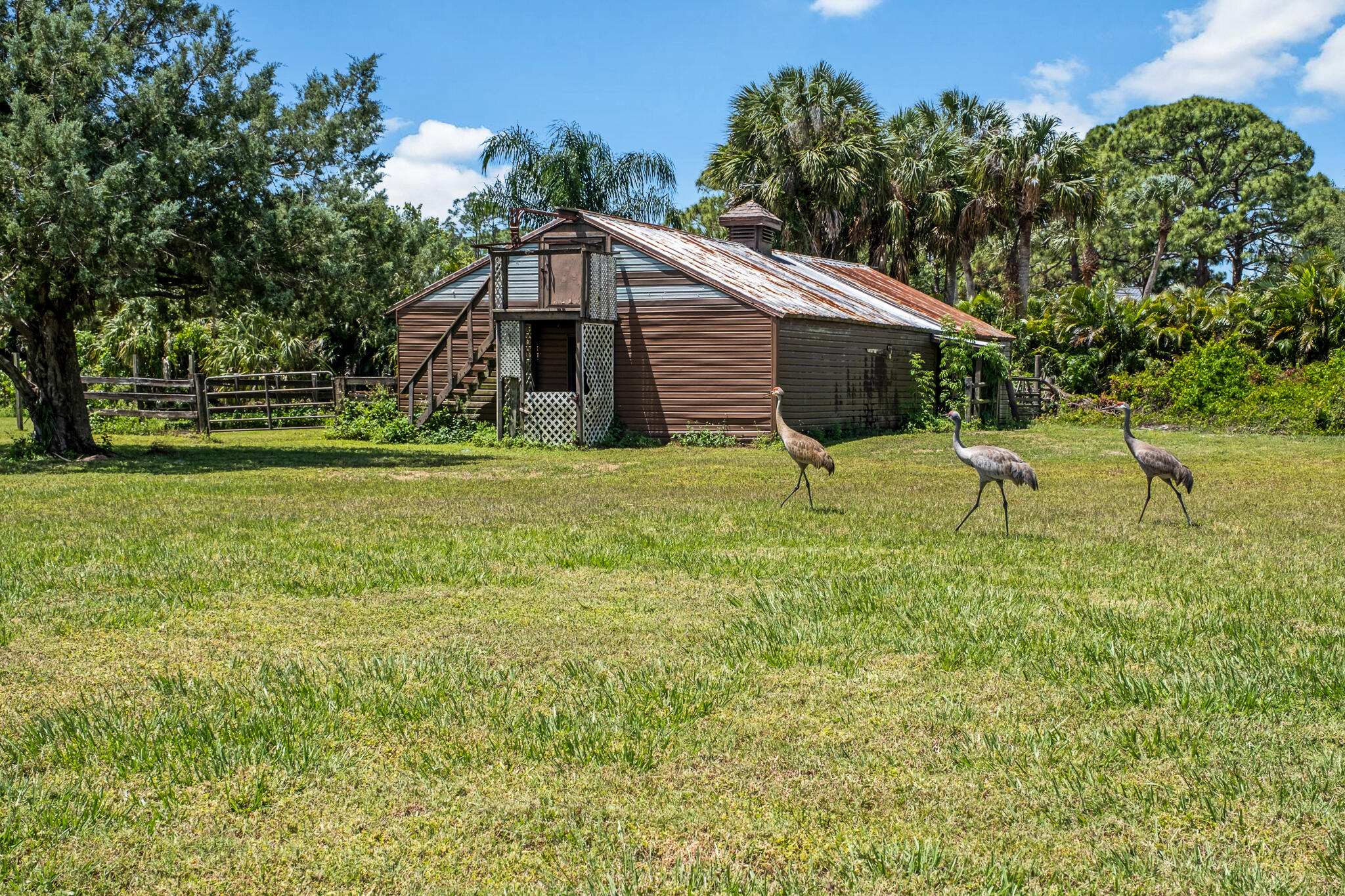 5115 Ranchland Road Melbourne, FL 32934 - Photo 26 of 31 a backyard of a house with lots of green space