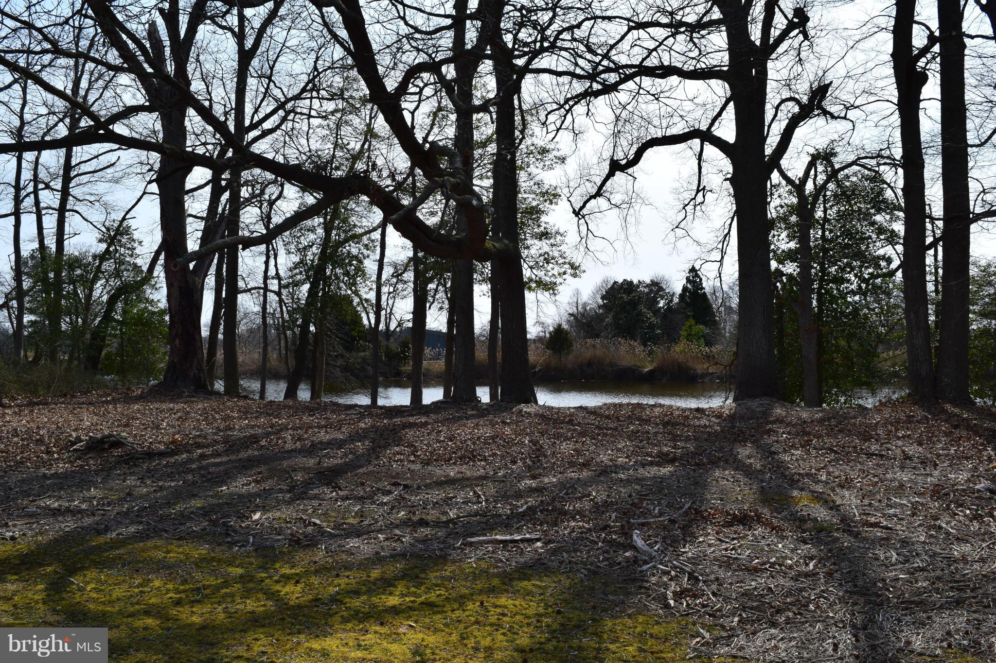 1502 Perrys Corner Road Queenstown, MD 21658 - Photo 4 of 18 View
