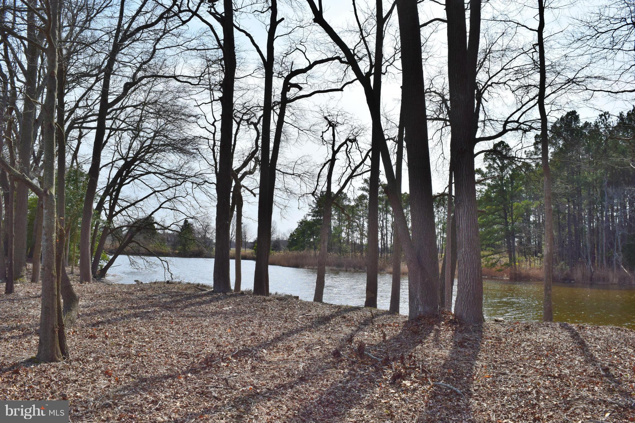 1502 Perrys Corner Road Queenstown, MD 21658 - Photo 6 of 18 View