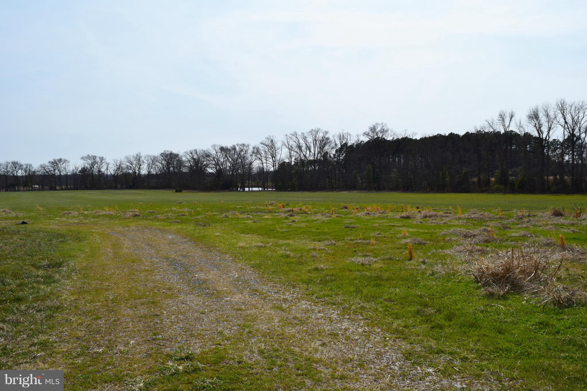 1502 Perrys Corner Road Queenstown, MD 21658 - Photo 9 of 18 View