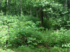 854 Incline Road Whitwell, TN 37397 - Photo 1 of 1 Hwy 108