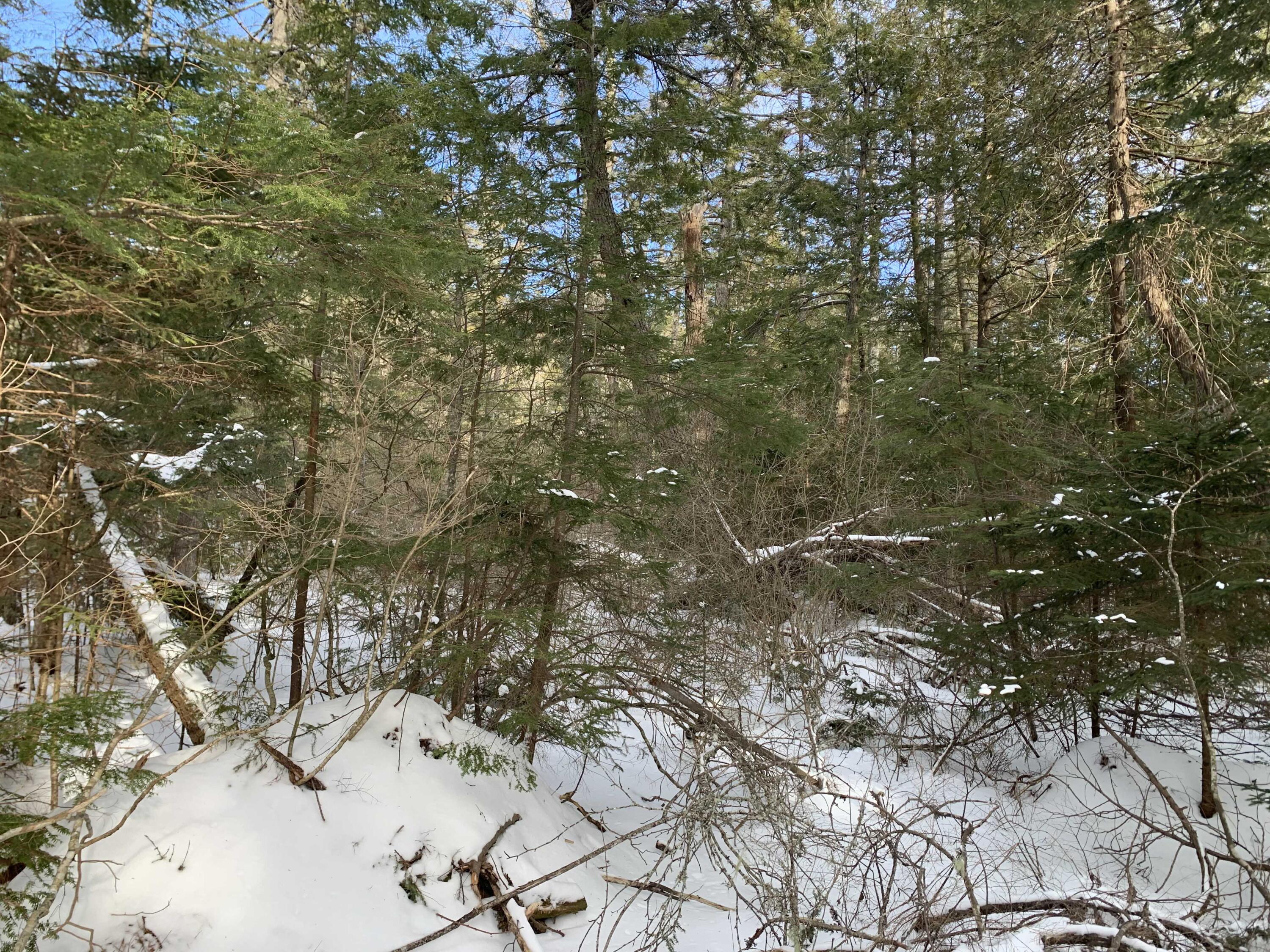 0 Sandy Beach Lane Ellsworth, ME 04605 - Photo 2 of 3 2