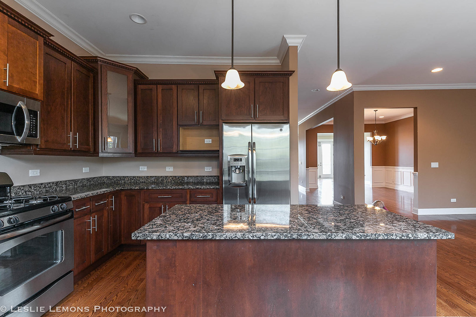 16W536 Bluff Road Willowbrook, IL 60527 - Photo 15 of 51