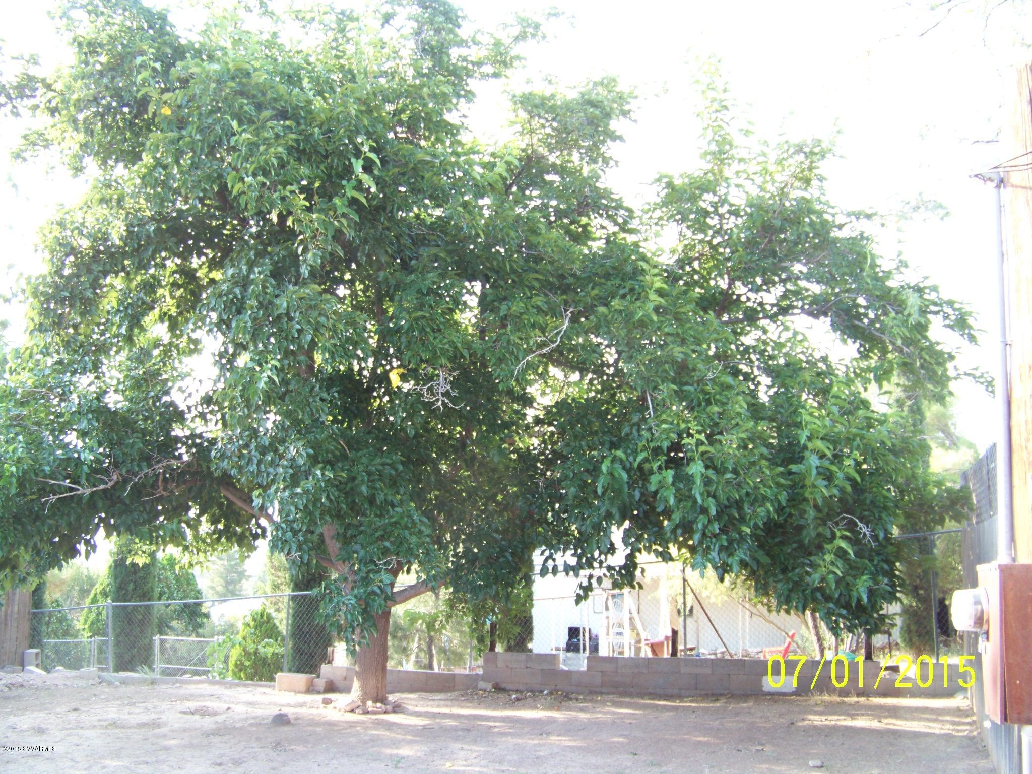4885 North Gone Fishin Road Rimrock, AZ 86335 - Photo 15 of 17 a picture of tree
