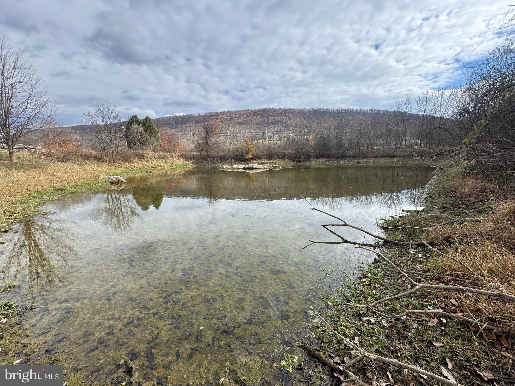 1-19032 Spring Run Rd Spring Run Spring Run, PA 17262 - Photo 49 of 79 a view of lake with green space