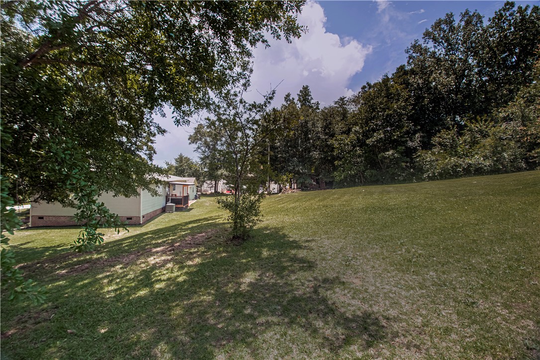 1059 Belle Shoals Road Pickens, SC 29671 - Photo 8 of 41