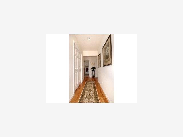 173 Spring Street Santa Cruz, CA 95060 - Photo 5 of 9 Gallery Image 5
