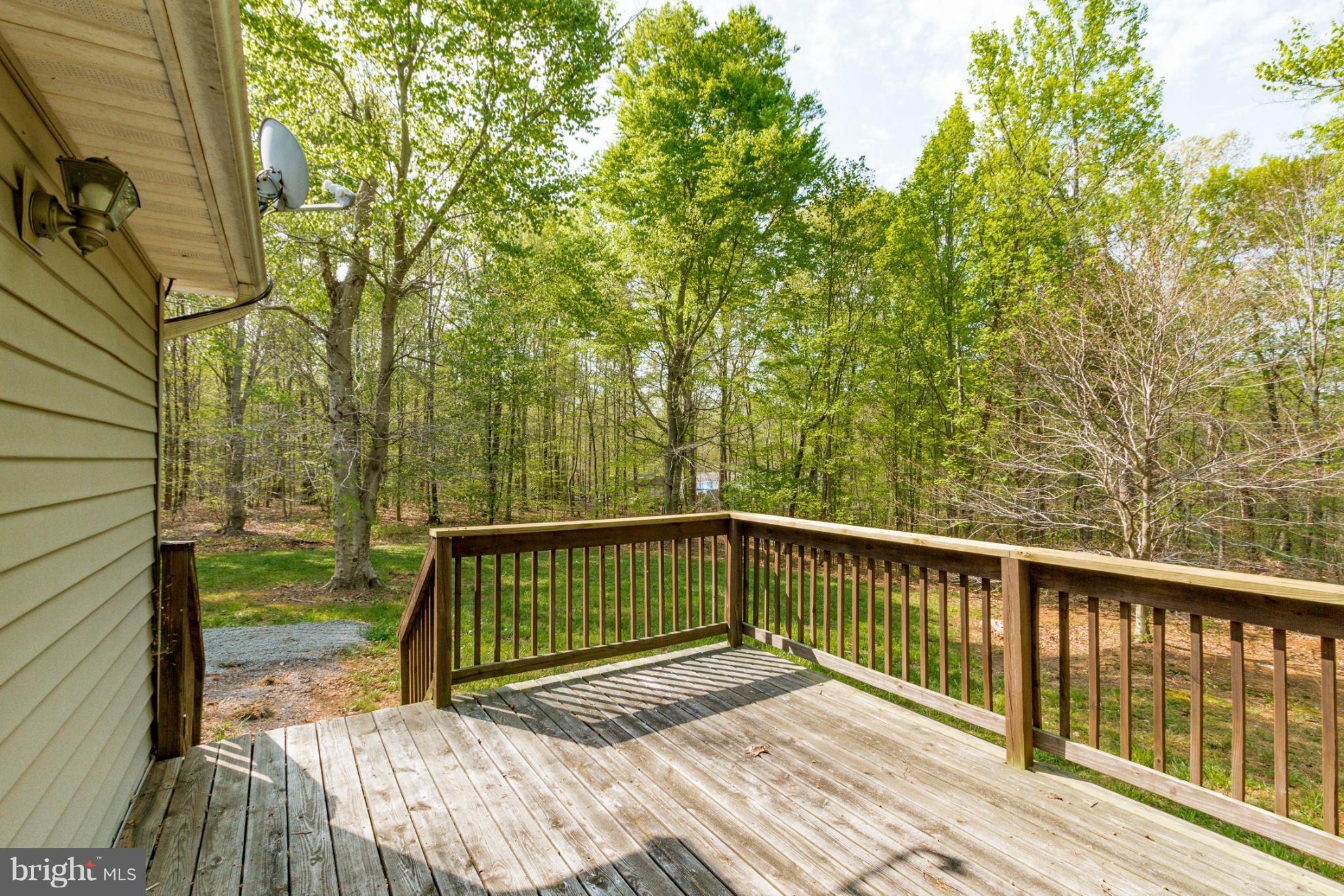 20910 Lahore Road Orange, VA 22960 - Photo 27 of 30 Exterior (Rear)