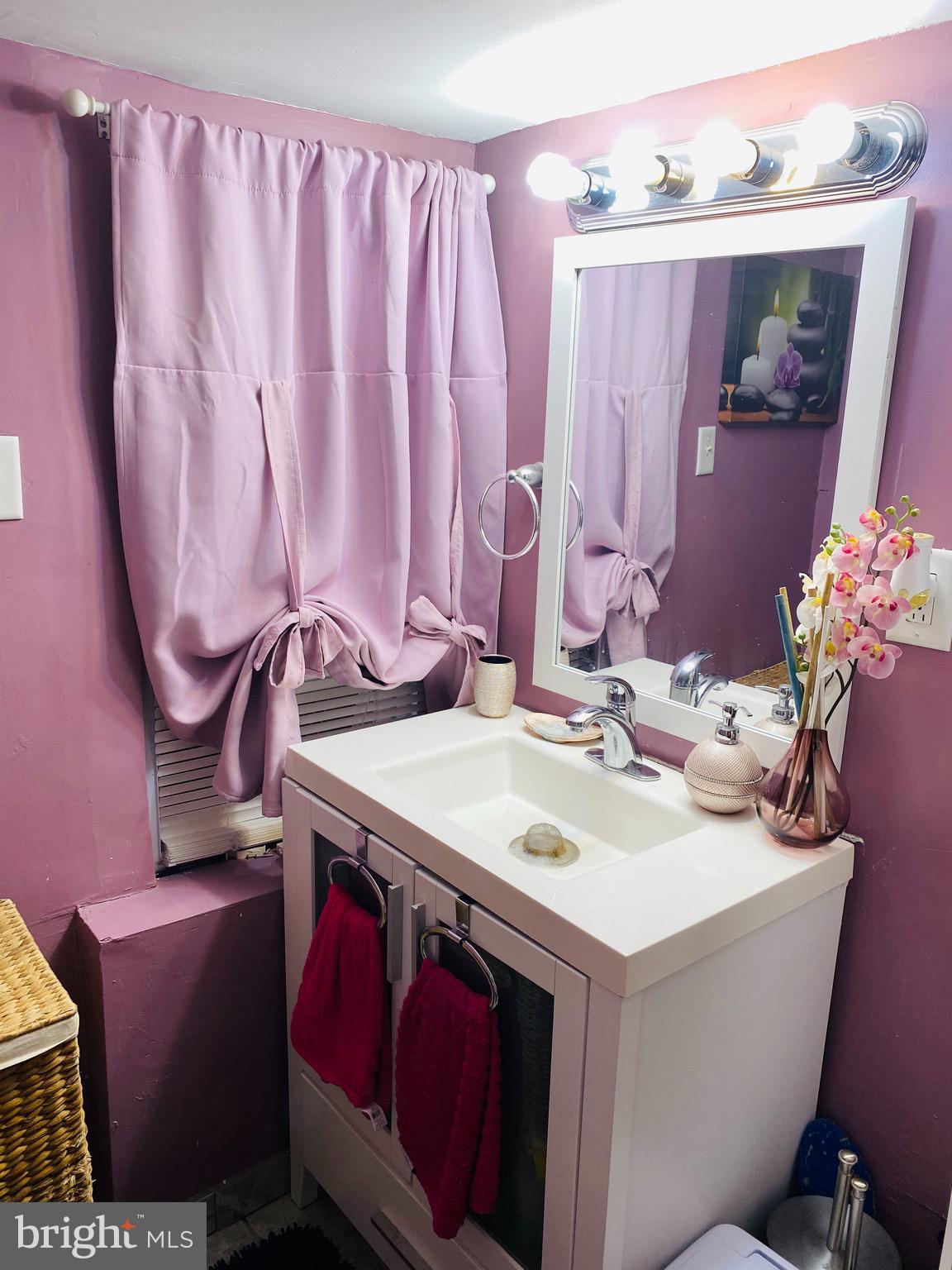 6623 Lotus Road Philadelphia, PA 19151 - Photo 16 of 17 basement bathroom pic 3