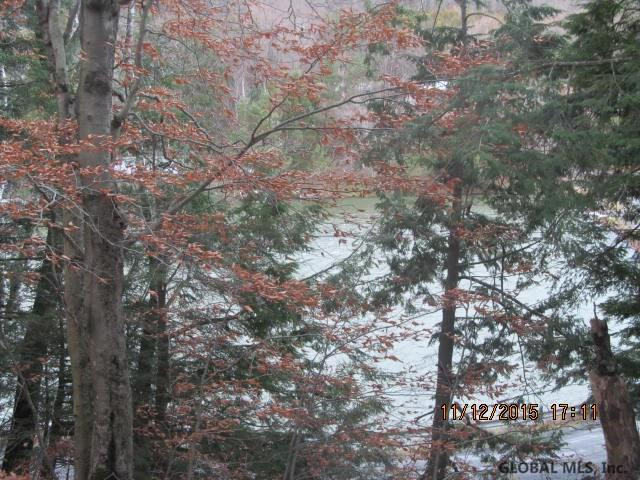 346 Bear Gulch Road Summit, NY 12175 - Photo 13 of 19 Photo 13