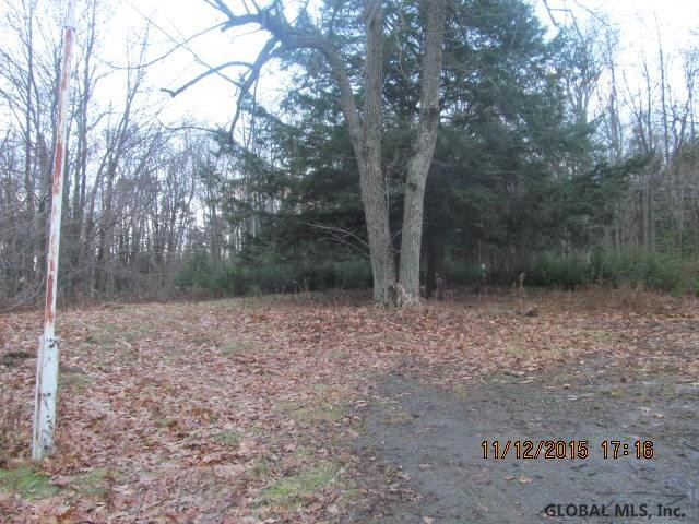 346 Bear Gulch Road Summit, NY 12175 - Photo 16 of 19 Photo 16