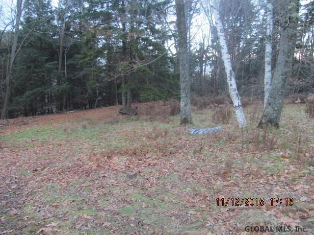 346 Bear Gulch Road Summit, NY 12175 - Photo 17 of 19 Photo 17