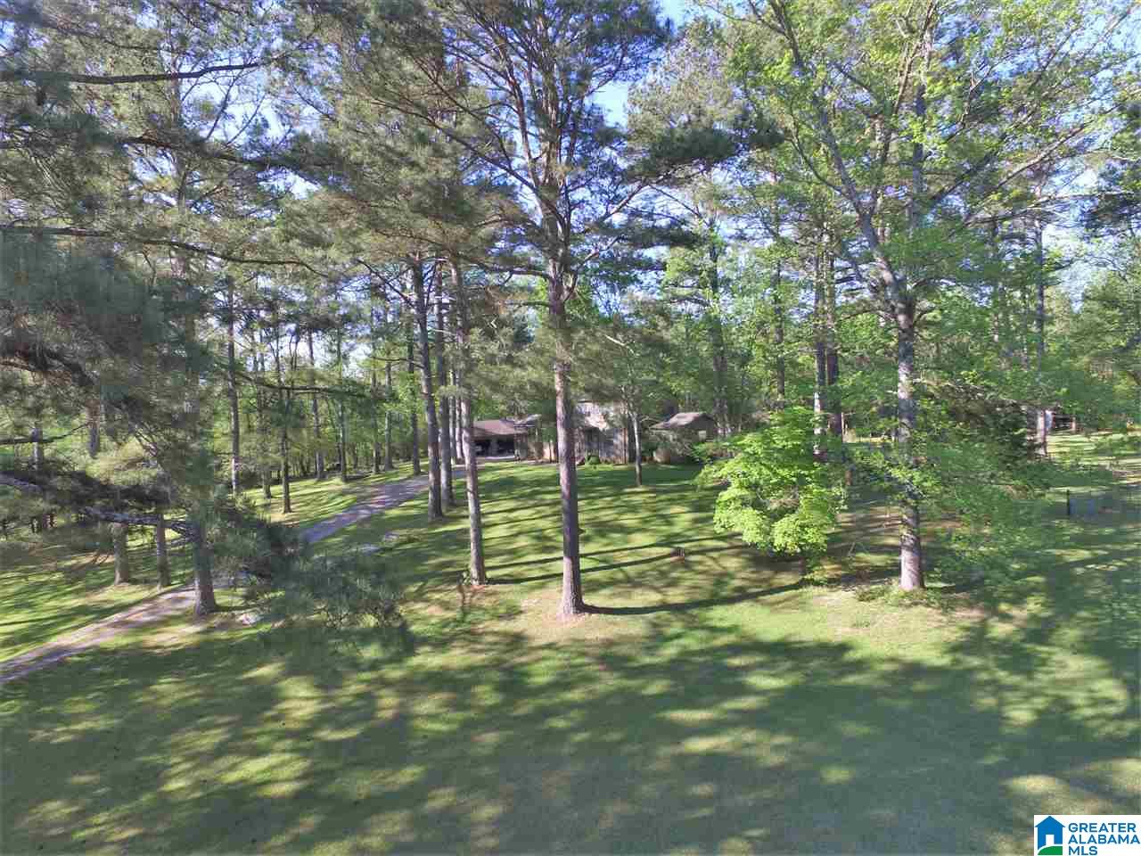 755 Maddox Farm Road Odenville, AL 35120 - Photo 2 of 41