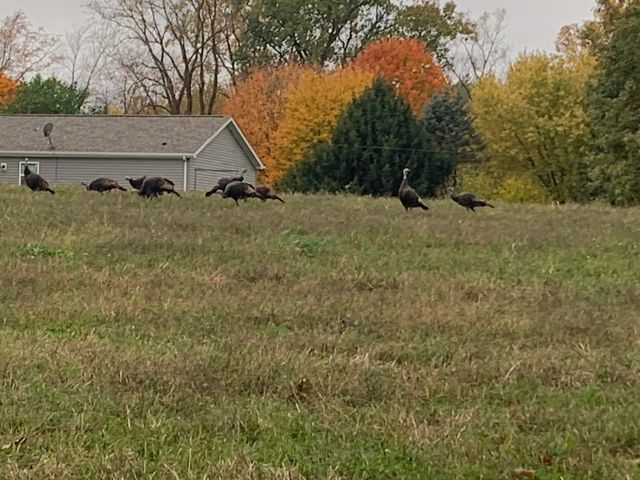 $1,335,000 | 8429 North 300th Street East, Rolling Prairie, IN 46371