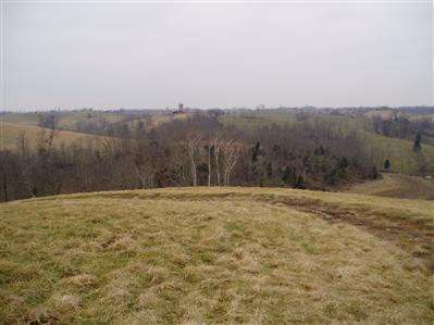 1065 Scrubgrass Creek Road Carlisle, KY 40311 - Photo 4 of 14 Photo 4