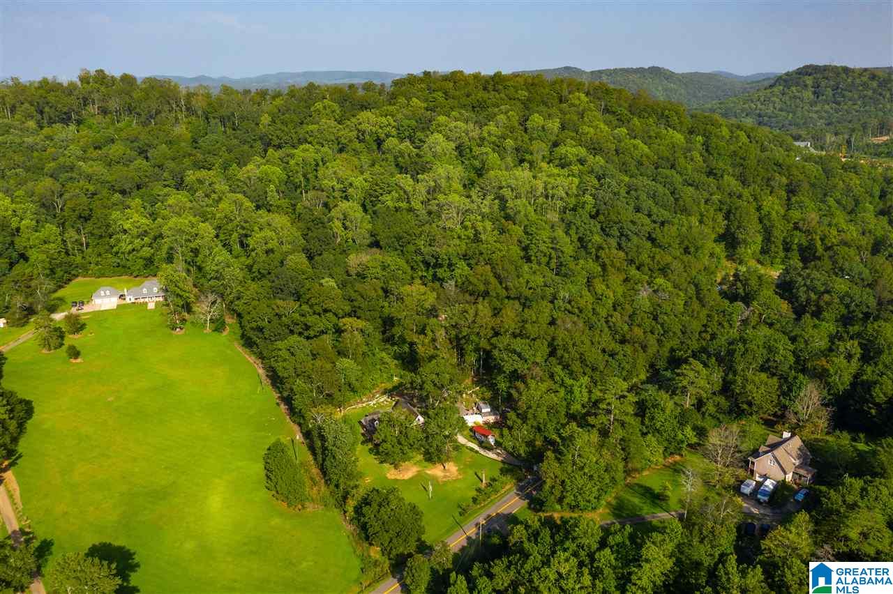 5901 Miles Spring Road Pinson, AL 35126 - Photo 32 of 36