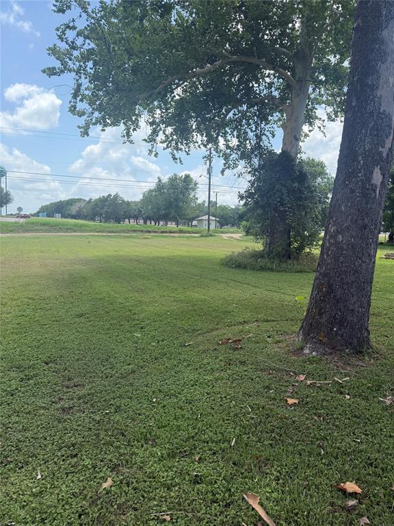 1825 East Pierce Street Luling, TX 78648 - Photo 16 of 16 A verdant, open lot with mature trees, offering ample space and serene surroundings.