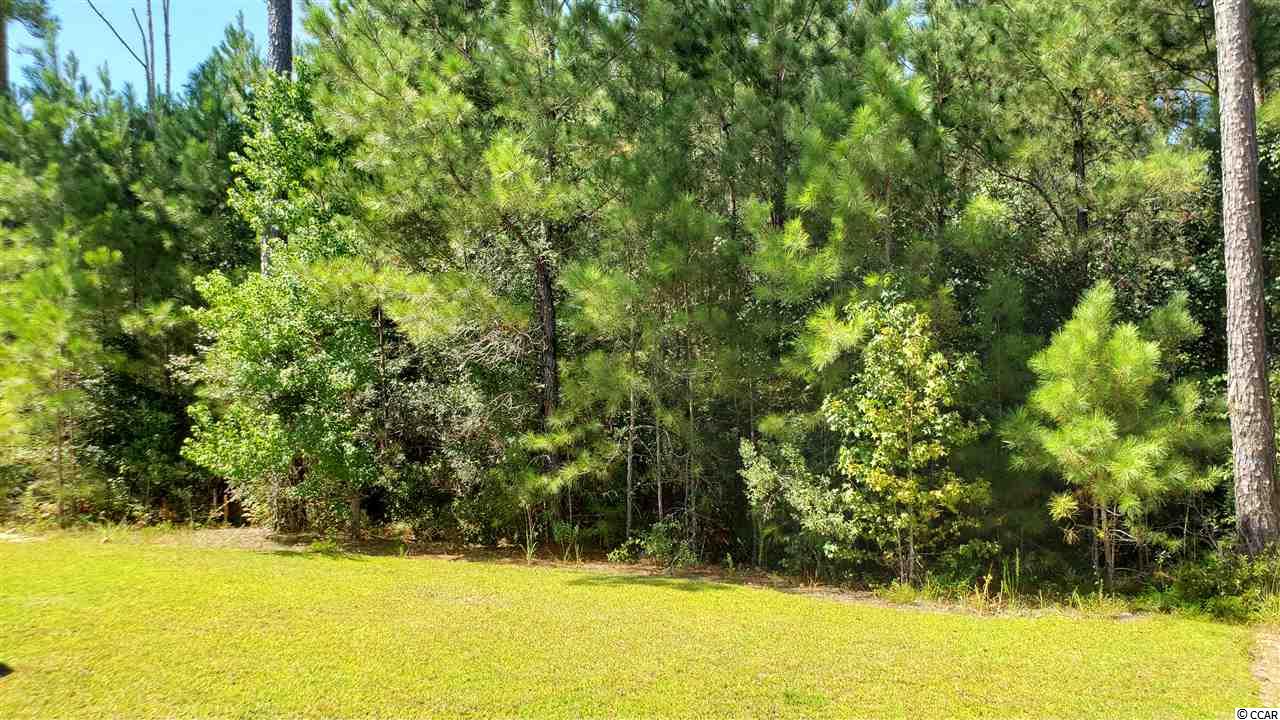 136 Hamilton Way Conway, SC 29526 - Photo 6 of 21 Gallery Image 6