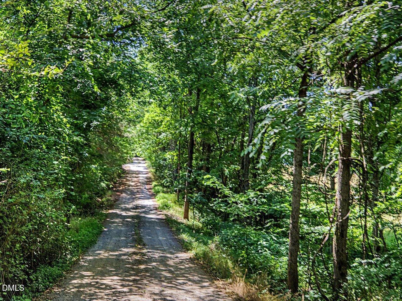 477 Jay Shambley Road Pittsboro, NC 27312 - Photo 16 of 28