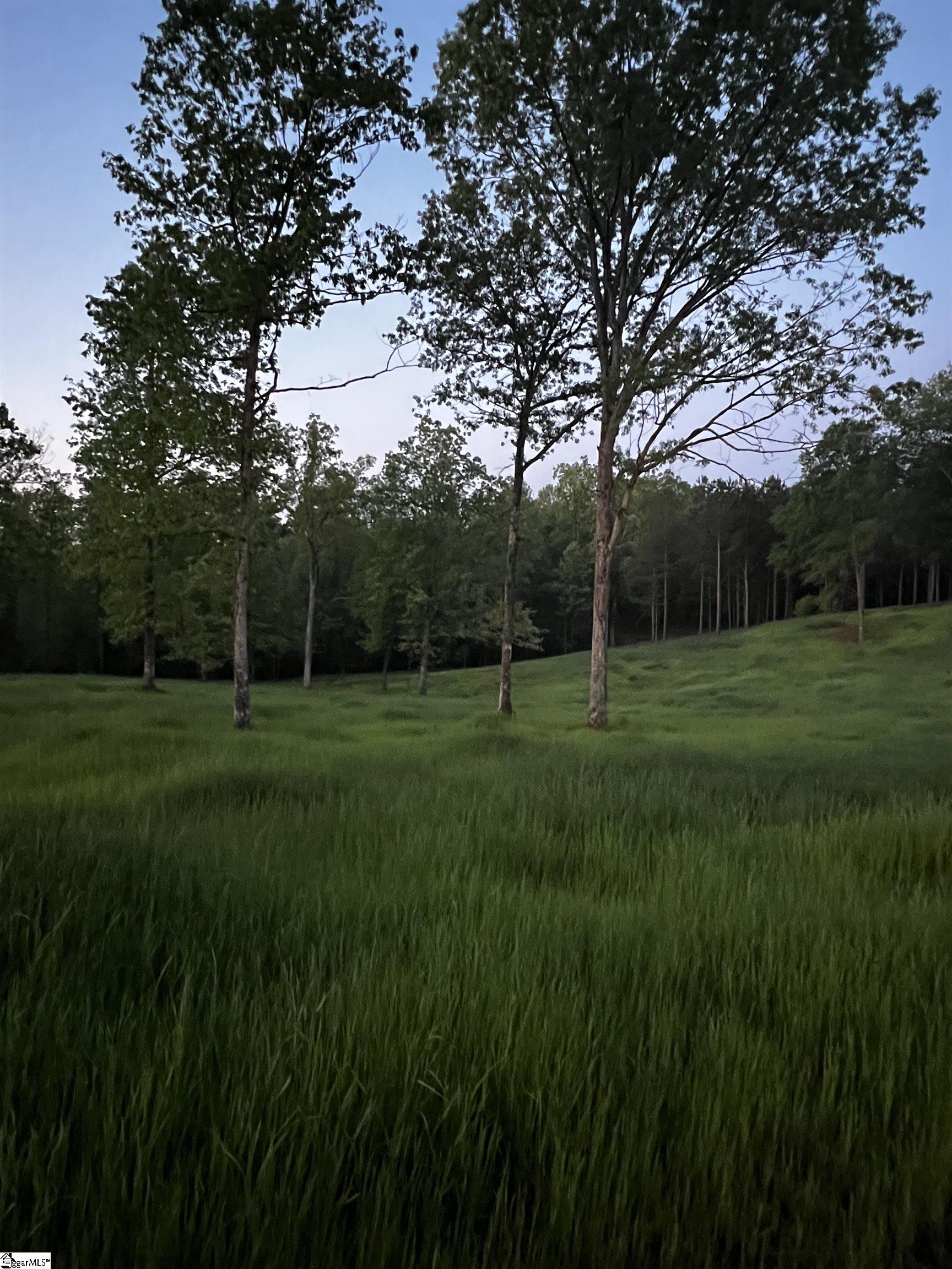 302 B Pistol Club Road Easley, SC 29640 - Photo 2 of 12