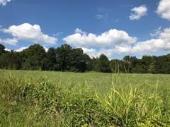 2490 Raney Camp Hollow Road Cumberland Furnace, TN 37051 - Photo 23 of 23 Gallery Image 23